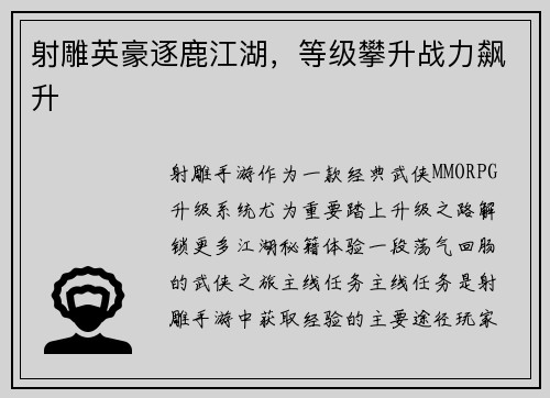 射雕英豪逐鹿江湖，等级攀升战力飙升